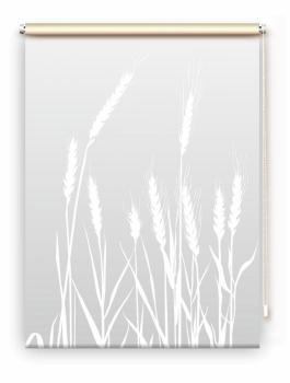 Rollo cereal 24 – lichtgrau, Rollo, Motivrollo, Rollo mit Druck, Fotorollo, bedrucktes Rollo, Fensterrollo,verdunkelndes Rollo, Sonnenschutz Rollo
